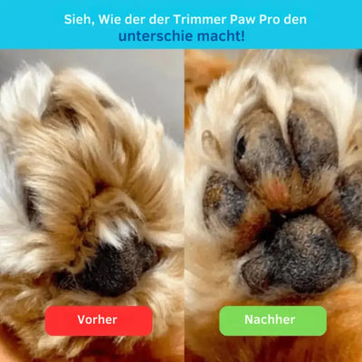 PawTrim Pro™ - Schmerzfreie Pfotenpflege in Sekundenschnelle
Verpasse deinem pelzigen Freund die perfekten Pfoten, ganz entspannt von zu Hause aus!